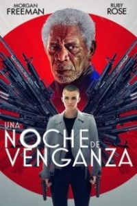 Una noche de venganza [Spanish]